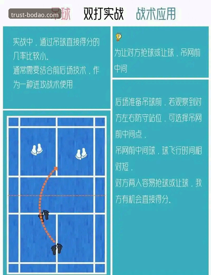 半岛体育BODAO使用技巧 半岛体育BODAO使用技巧完整指南:从新手到高手的实战经验分享