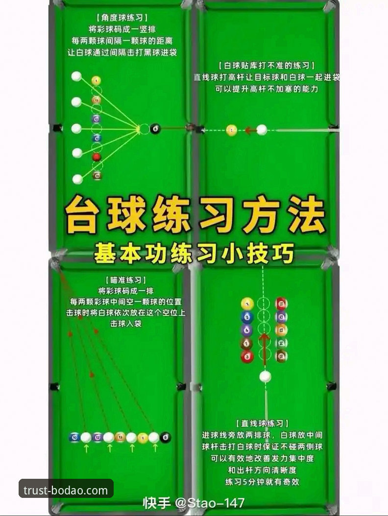 揭秘半岛体育官网：从入门到精通的完整使用指南